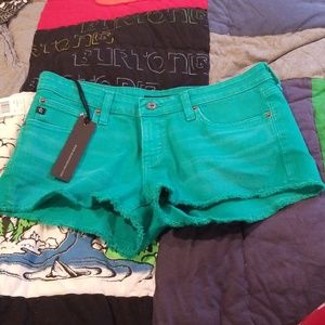 Big star Remy low rise fit turquoise shorts 30